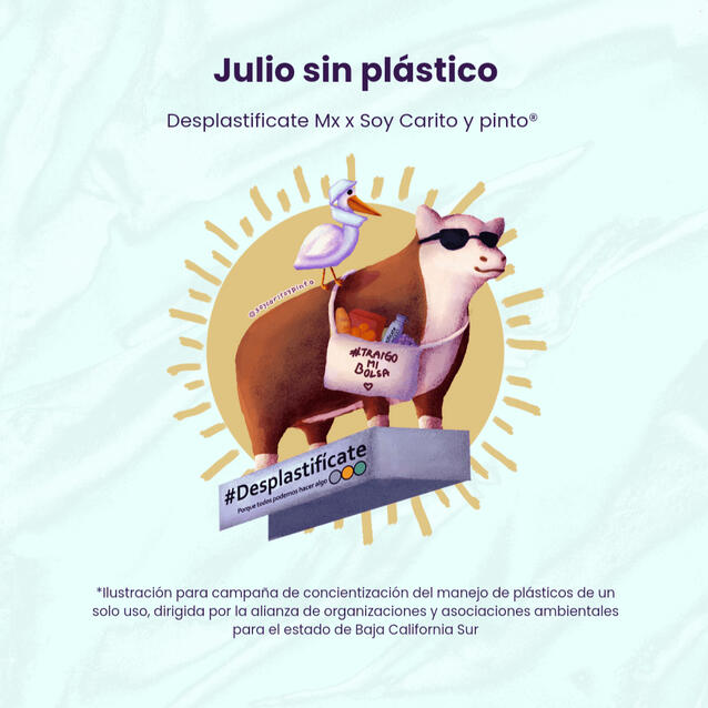 #Juliosinplastico - Colaboración CEMDA, Alianza Desplastificate MX y Super Mercados Aramburo.